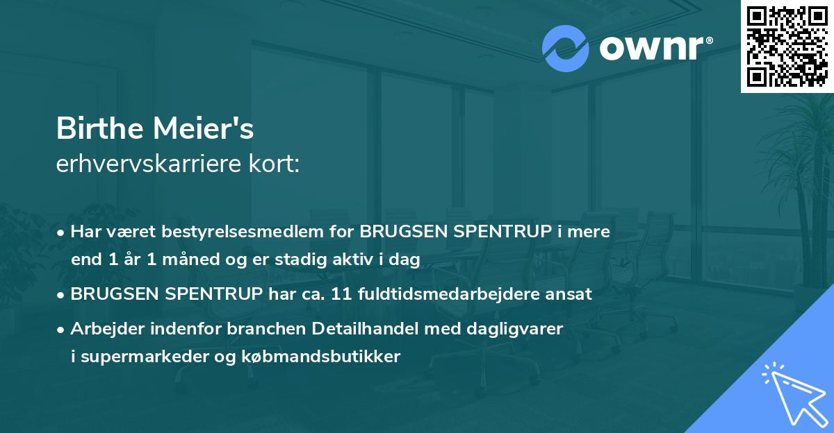 Birthe Meier's erhvervskarriere kort