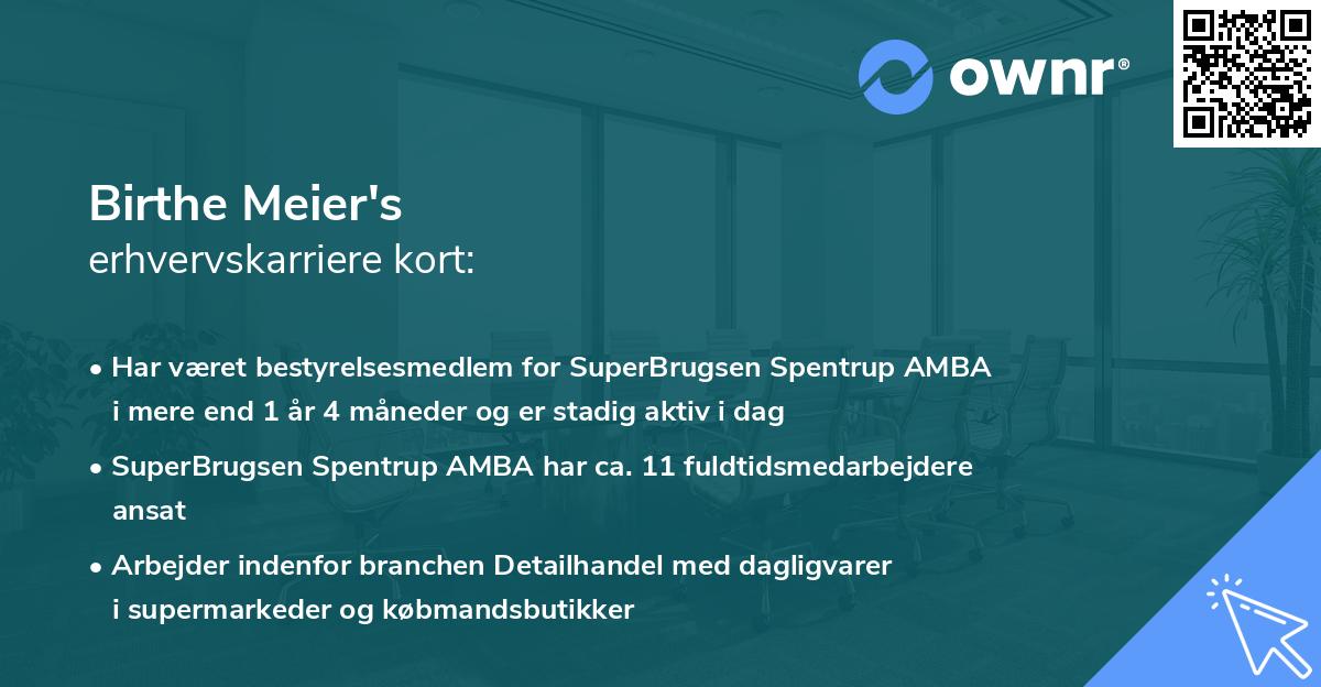 Birthe Meier's erhvervskarriere kort
