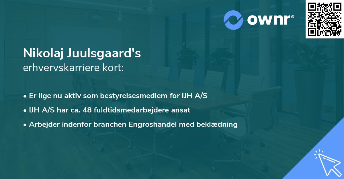 Nikolaj Juulsgaard's erhvervskarriere kort