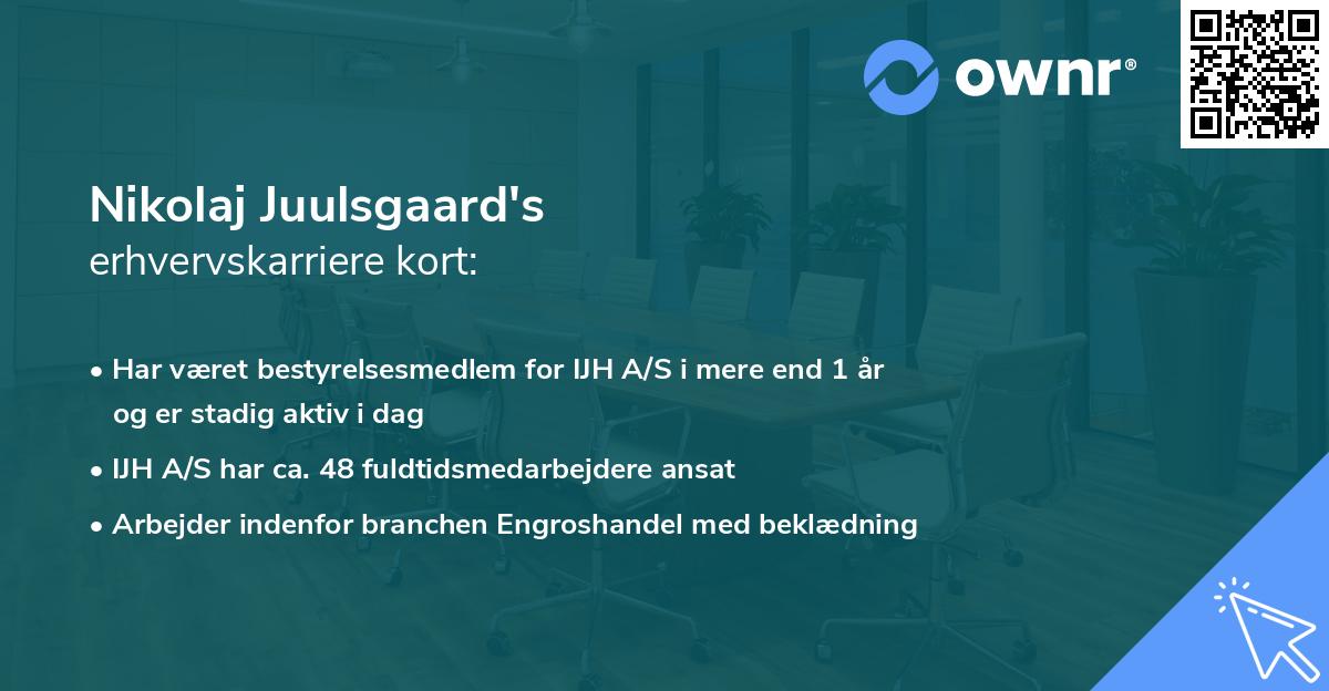 Nikolaj Juulsgaard's erhvervskarriere kort