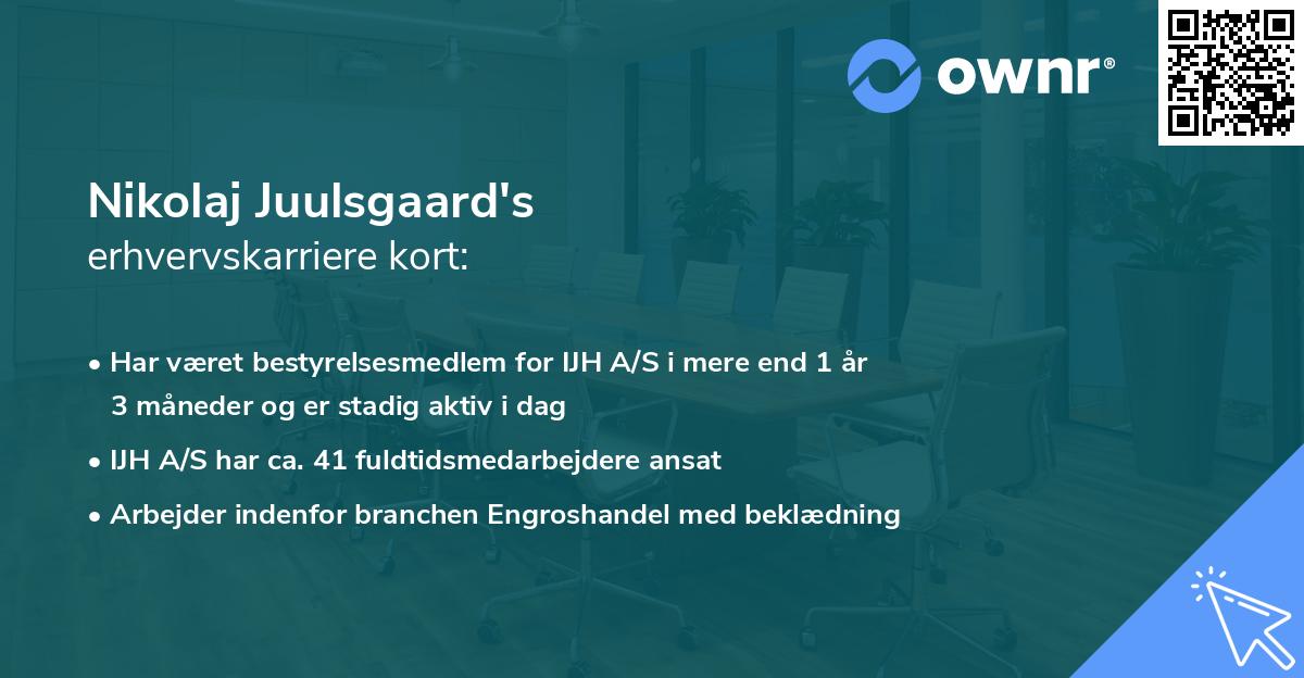 Nikolaj Juulsgaard's erhvervskarriere kort