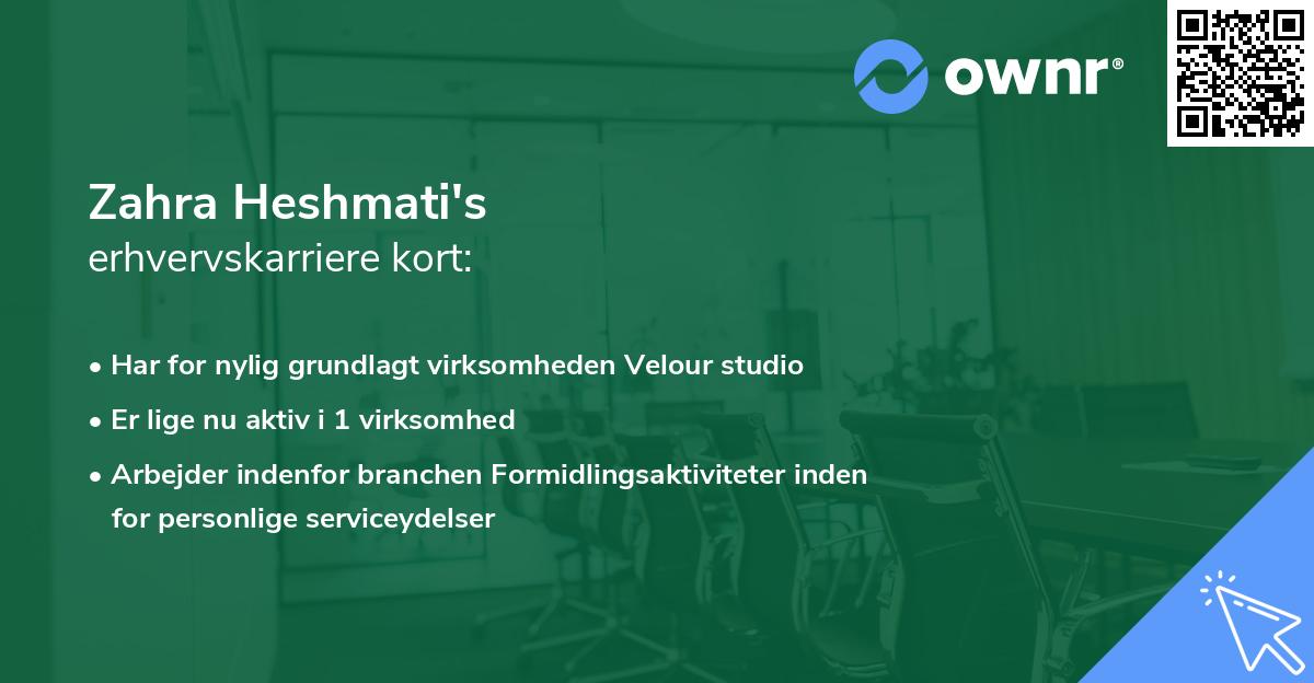 Zahra Heshmati's erhvervskarriere kort