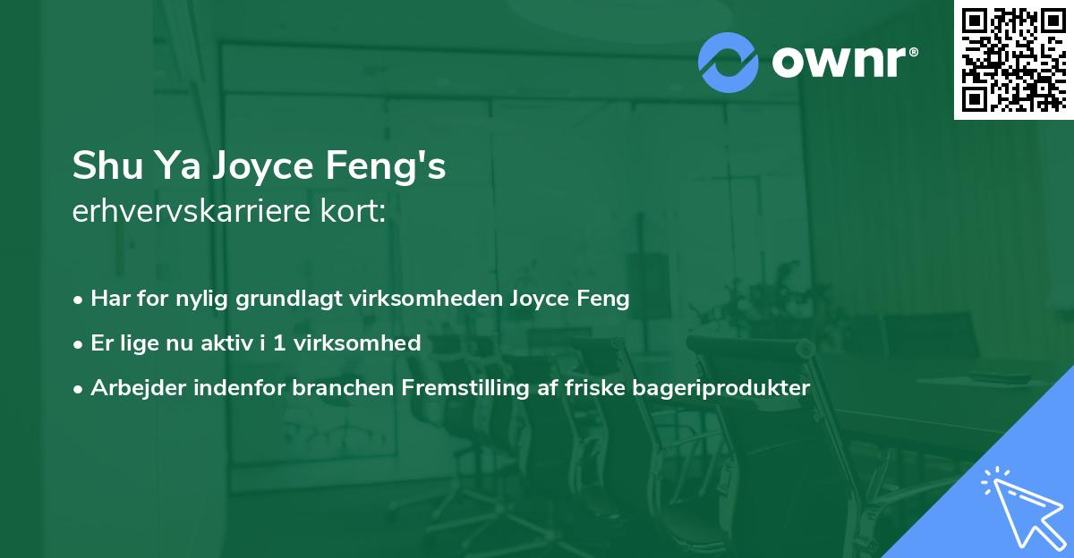 Shu Ya Joyce Feng's erhvervskarriere kort
