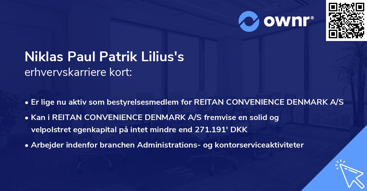 Niklas Paul Patrik Lilius's erhvervskarriere kort