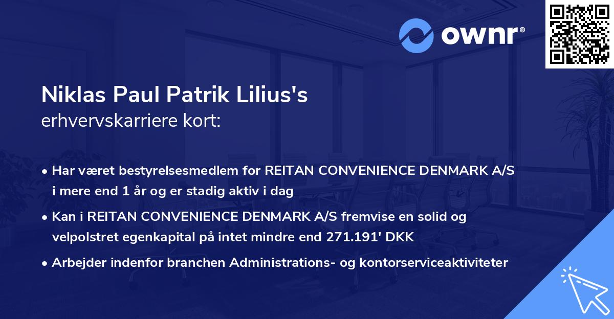 Niklas Paul Patrik Lilius's erhvervskarriere kort