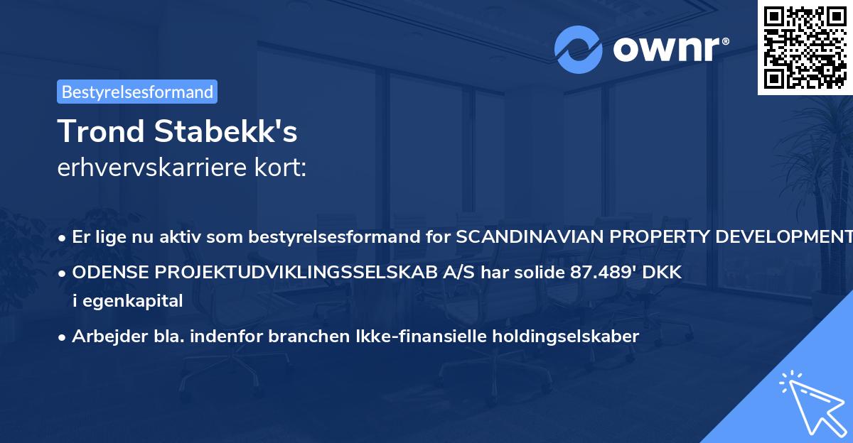 Trond Stabekk's erhvervskarriere kort
