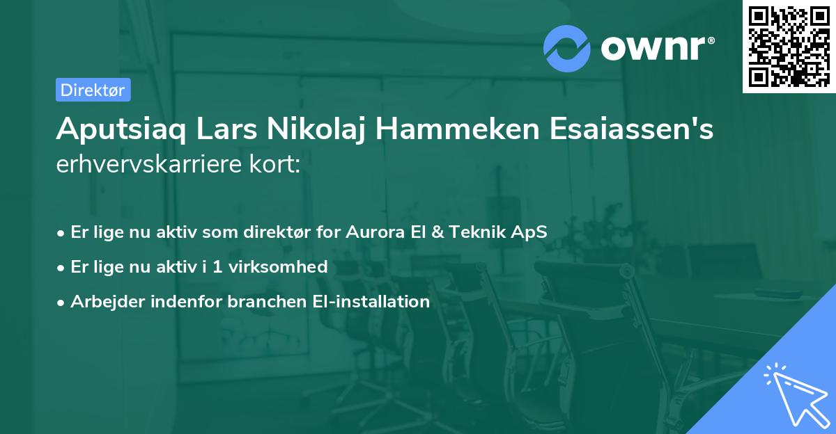 Aputsiaq Lars Nikolaj Hammeken Esaiassen's erhvervskarriere kort
