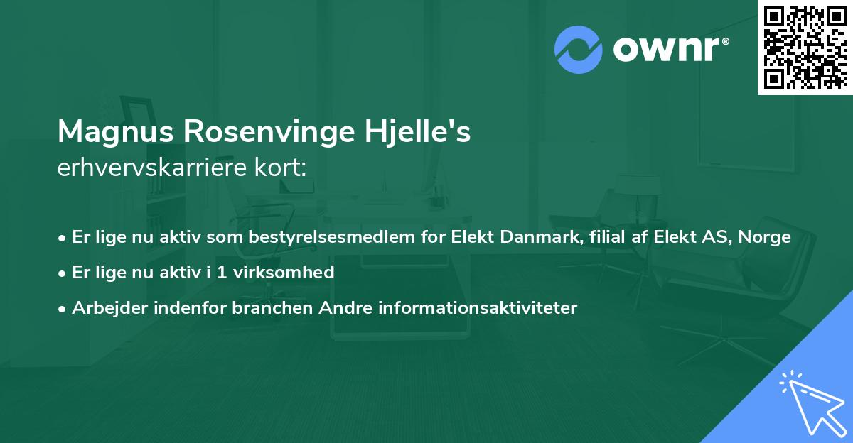 Magnus Rosenvinge Hjelle's erhvervskarriere kort