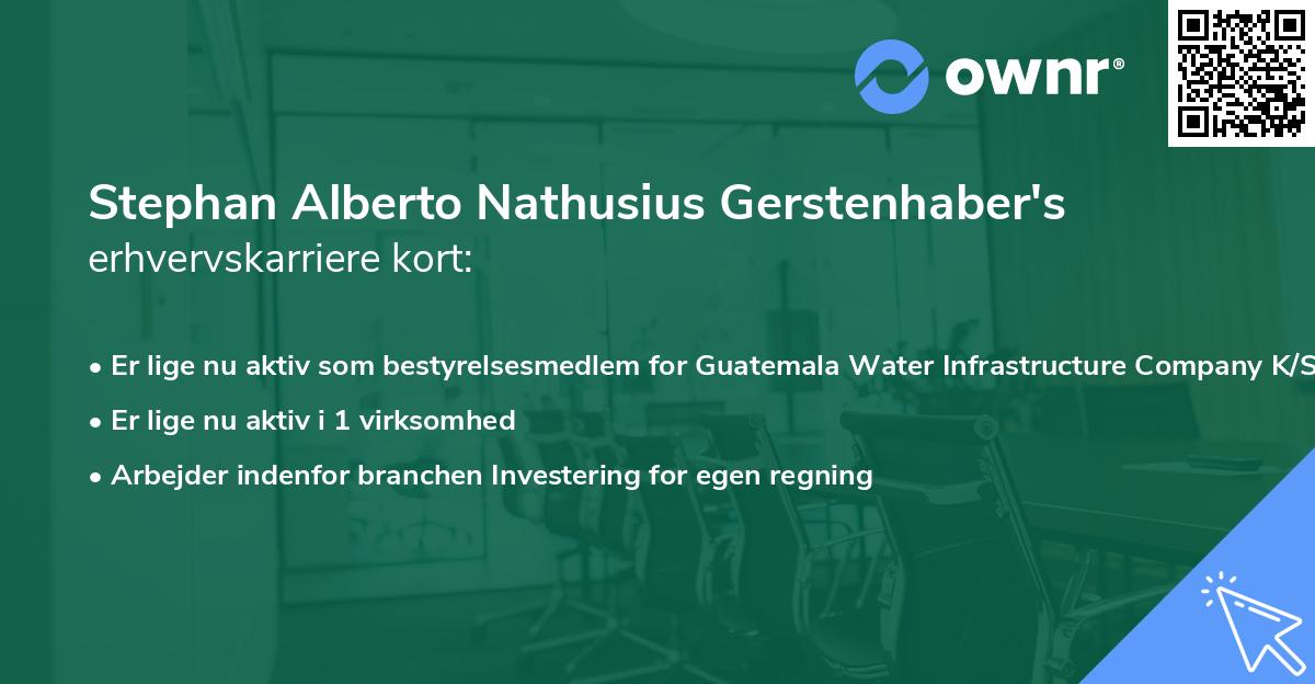 Stephan Alberto Nathusius Gerstenhaber's erhvervskarriere kort
