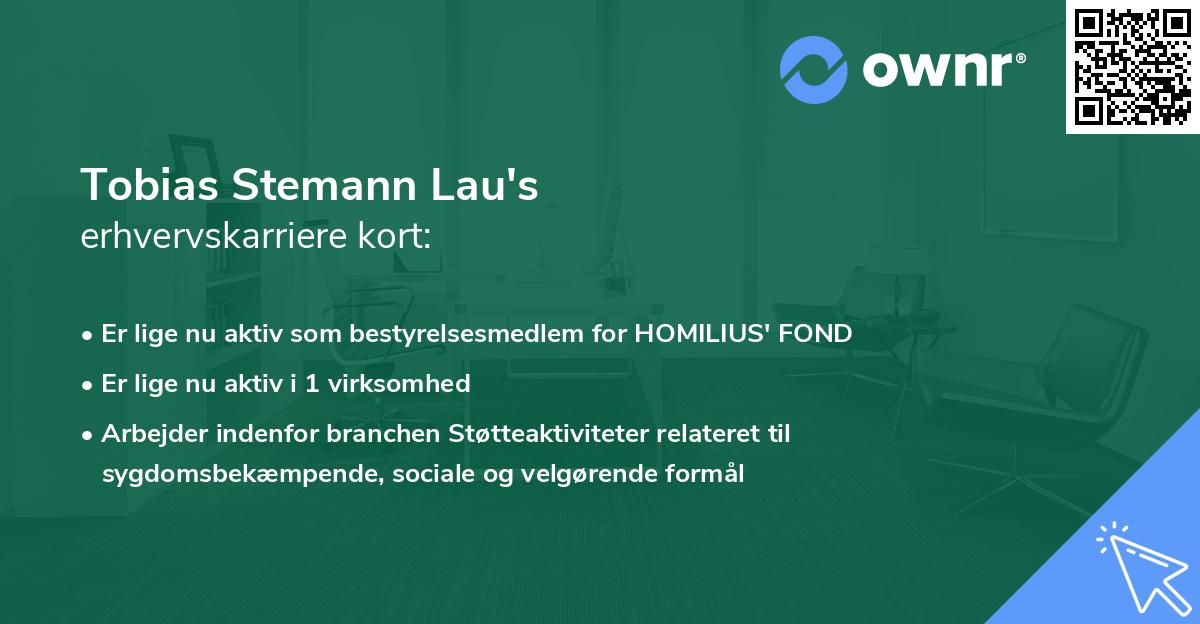 Tobias Stemann Lau's erhvervskarriere kort