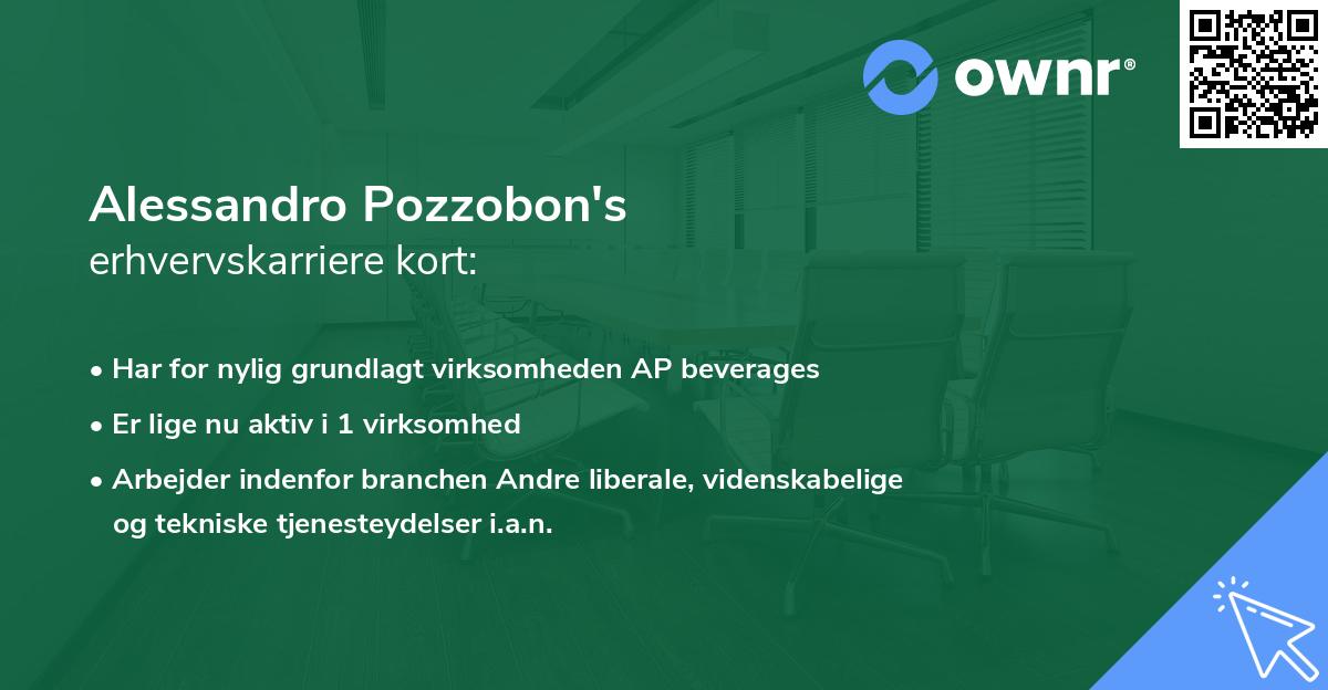 Alessandro Pozzobon's erhvervskarriere kort