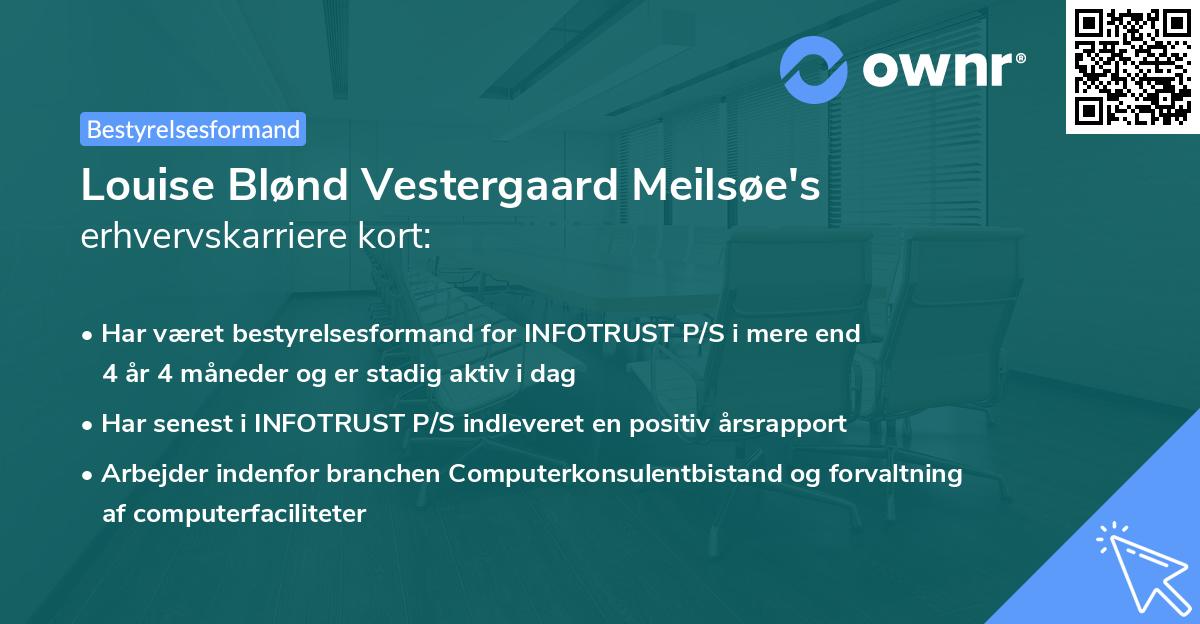 Louise Blønd Vestergaard Meilsøe's erhvervskarriere kort