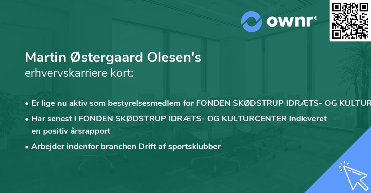 Martin Østergaard Olesen's erhvervskarriere kort