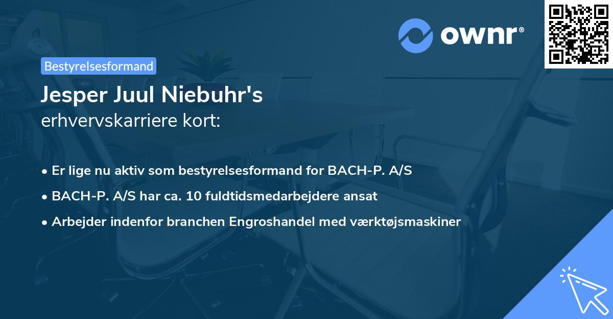 Jesper Juul Niebuhr's erhvervskarriere kort