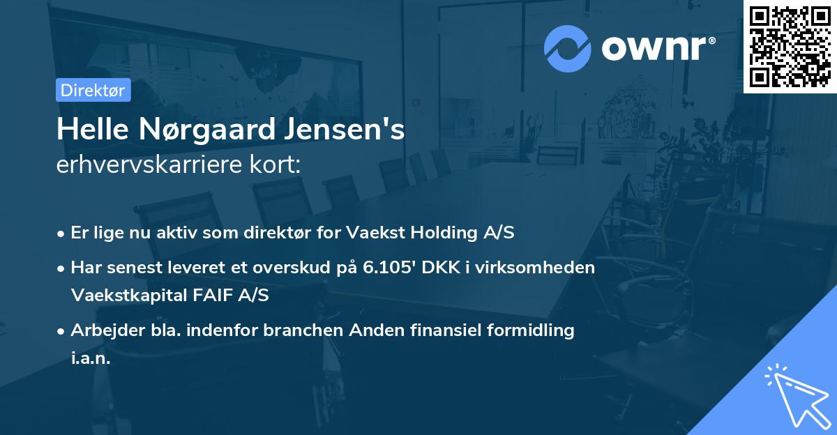 Helle Nørgaard Jensen's erhvervskarriere kort