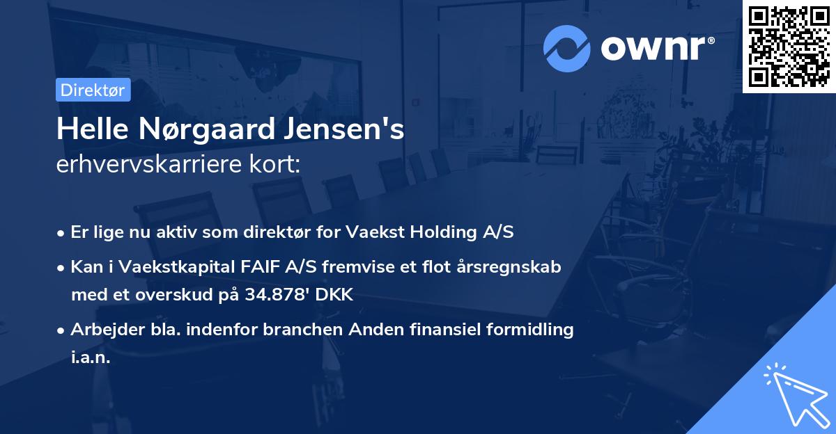 Helle Nørgaard Jensen's erhvervskarriere kort