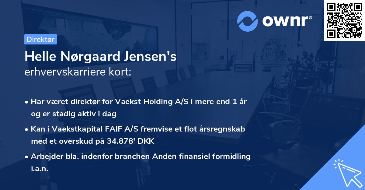 Helle Nørgaard Jensen's erhvervskarriere kort