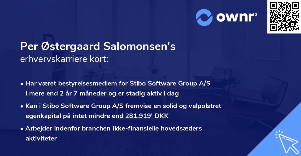 Per Østergaard Salomonsen's erhvervskarriere kort