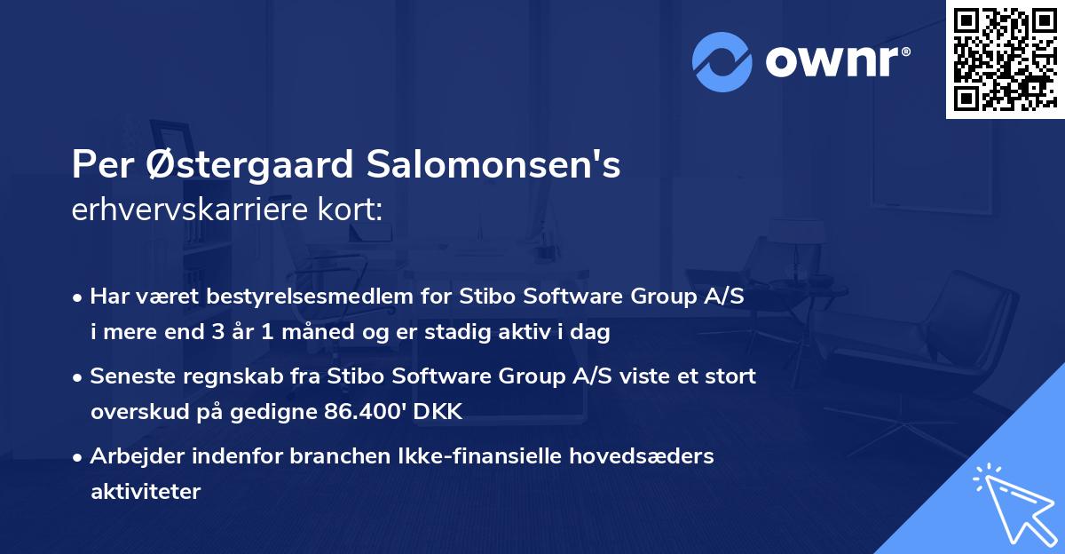 Per Østergaard Salomonsen's erhvervskarriere kort