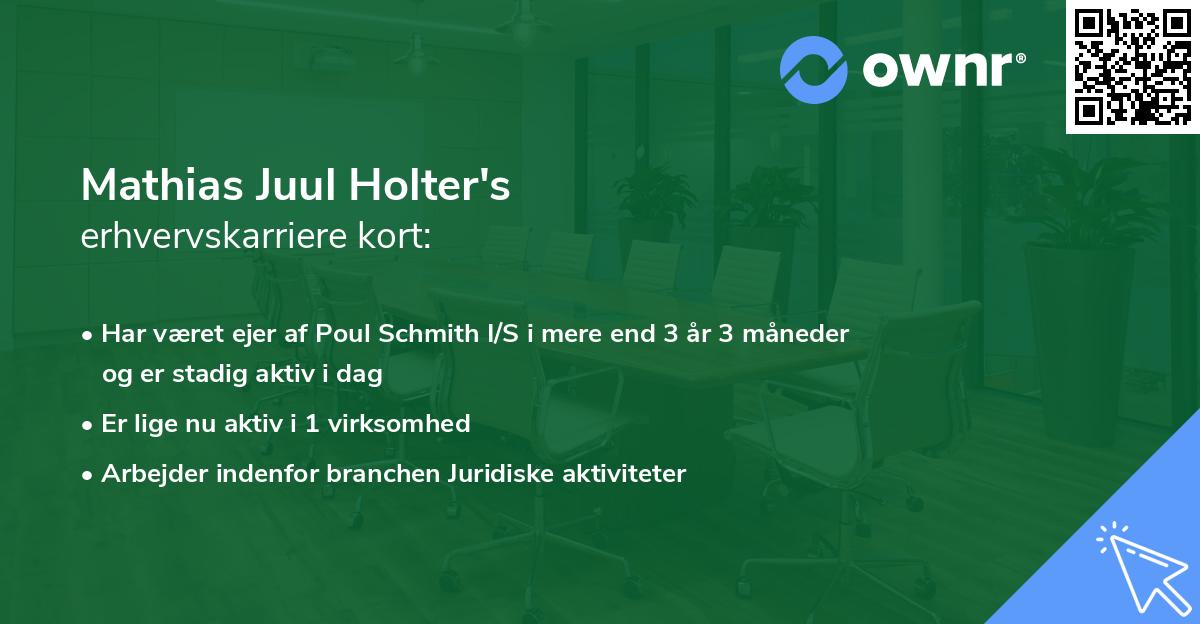 Mathias Juul Holter's erhvervskarriere kort