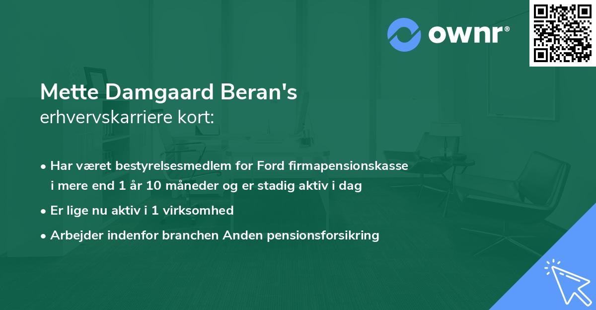 Mette Damgaard Beran's erhvervskarriere kort