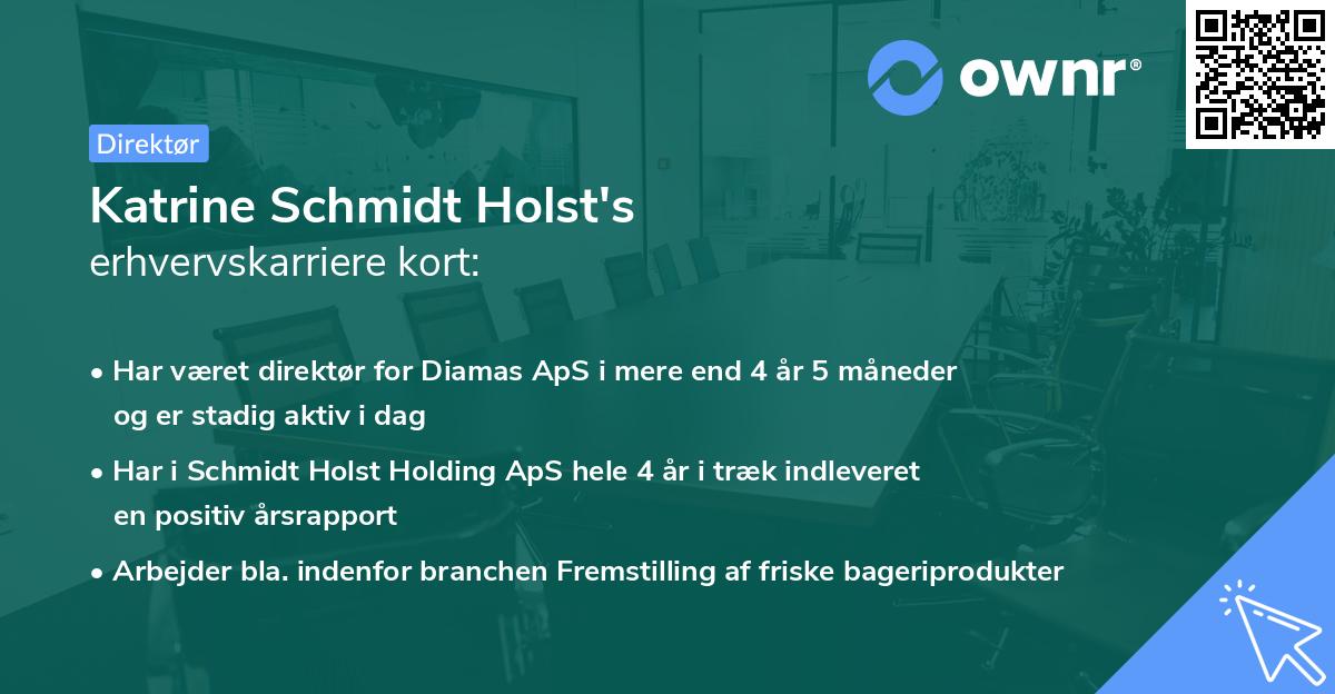 Katrine Schmidt Holst's erhvervskarriere kort