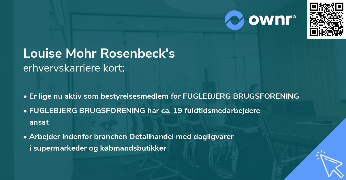 Louise Mohr Rosenbeck's erhvervskarriere kort