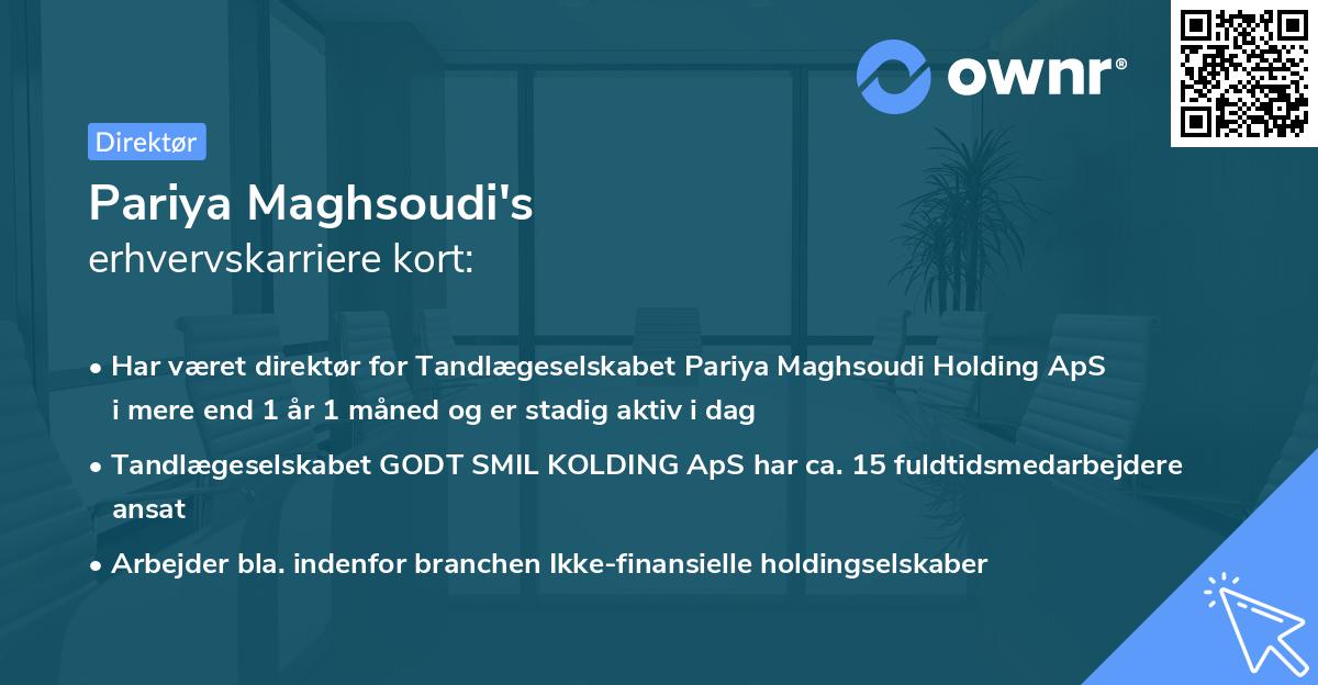 Pariya Maghsoudi's erhvervskarriere kort