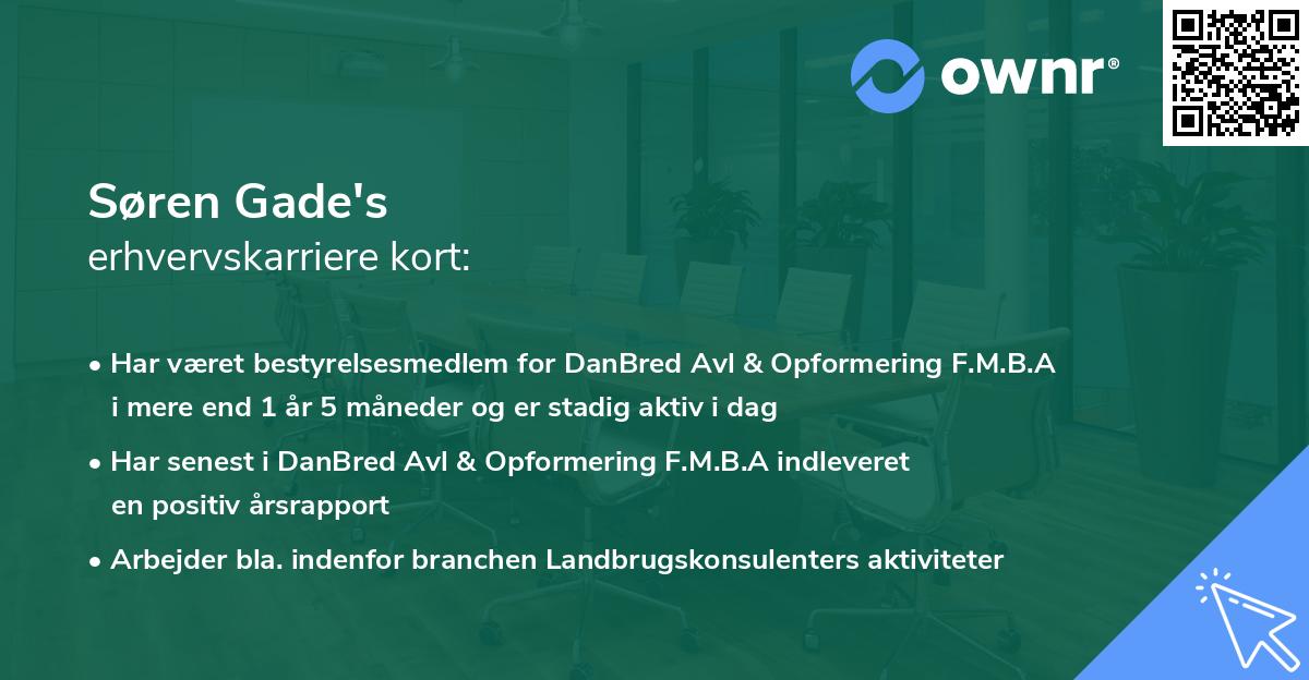 Søren Gade's erhvervskarriere kort