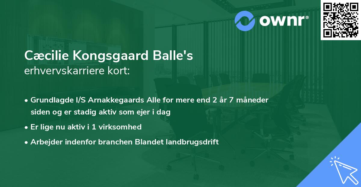 Cæcilie Kongsgaard Balle's erhvervskarriere kort