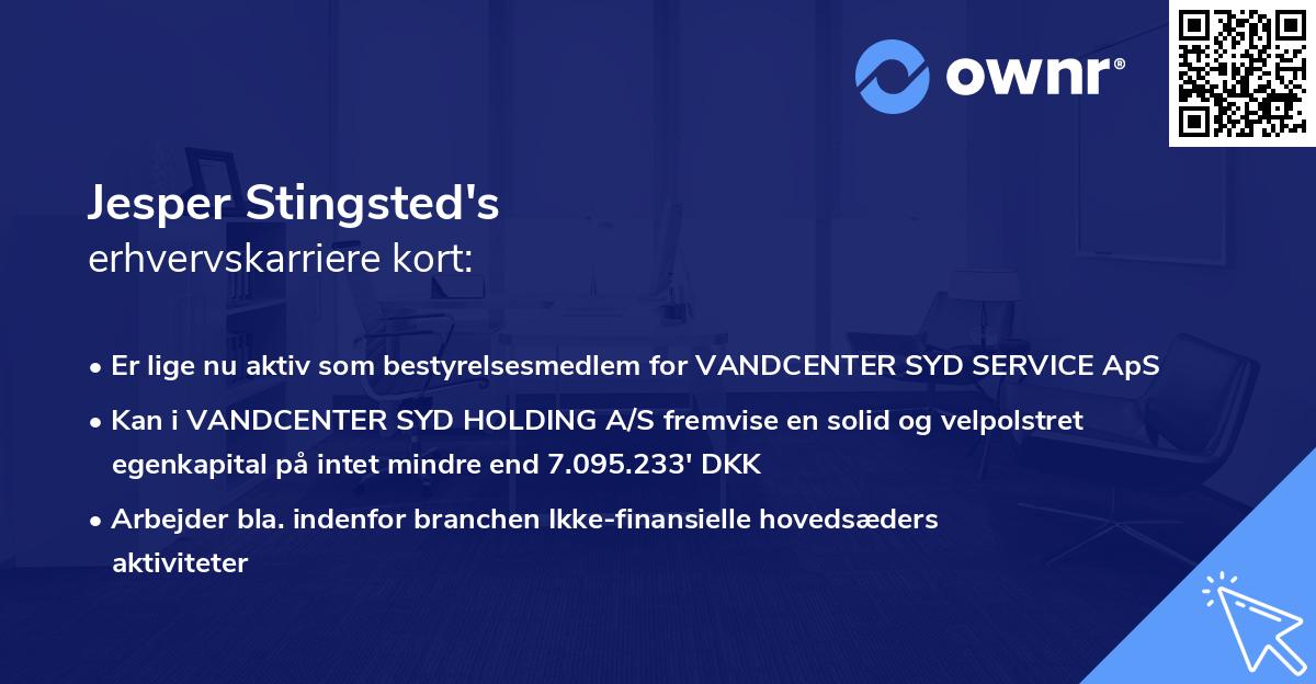 Jesper Stingsted's erhvervskarriere kort