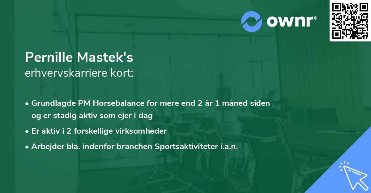 Pernille Mastek's erhvervskarriere kort