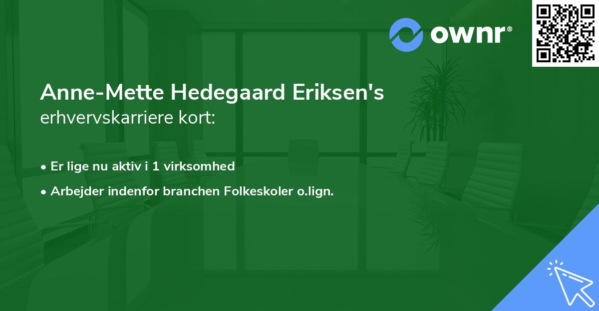 Anne-Mette Hedegaard Eriksen's erhvervskarriere kort