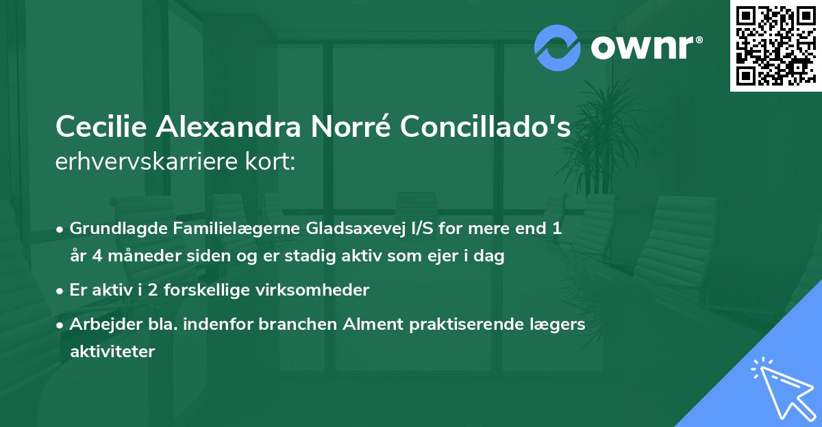 Cecilie Alexandra Norré Concillado's erhvervskarriere kort