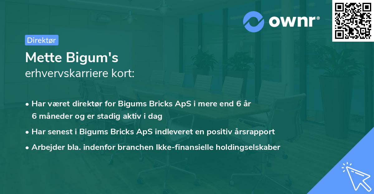 Mette Bigum's erhvervskarriere kort
