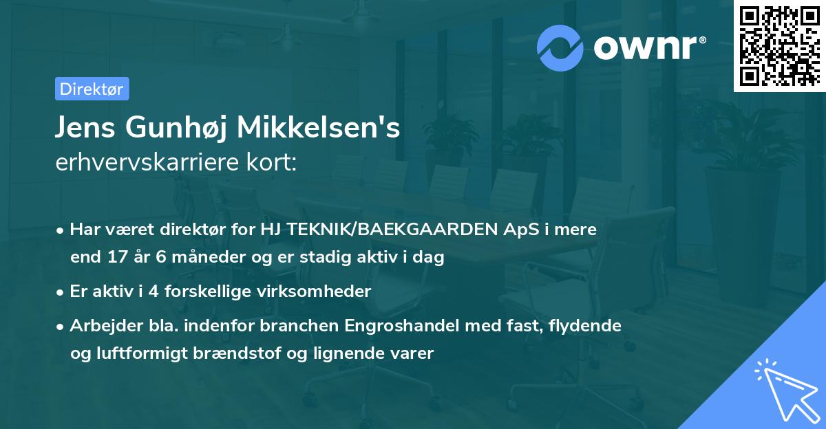 Jens Gunhøj Mikkelsen's erhvervskarriere kort