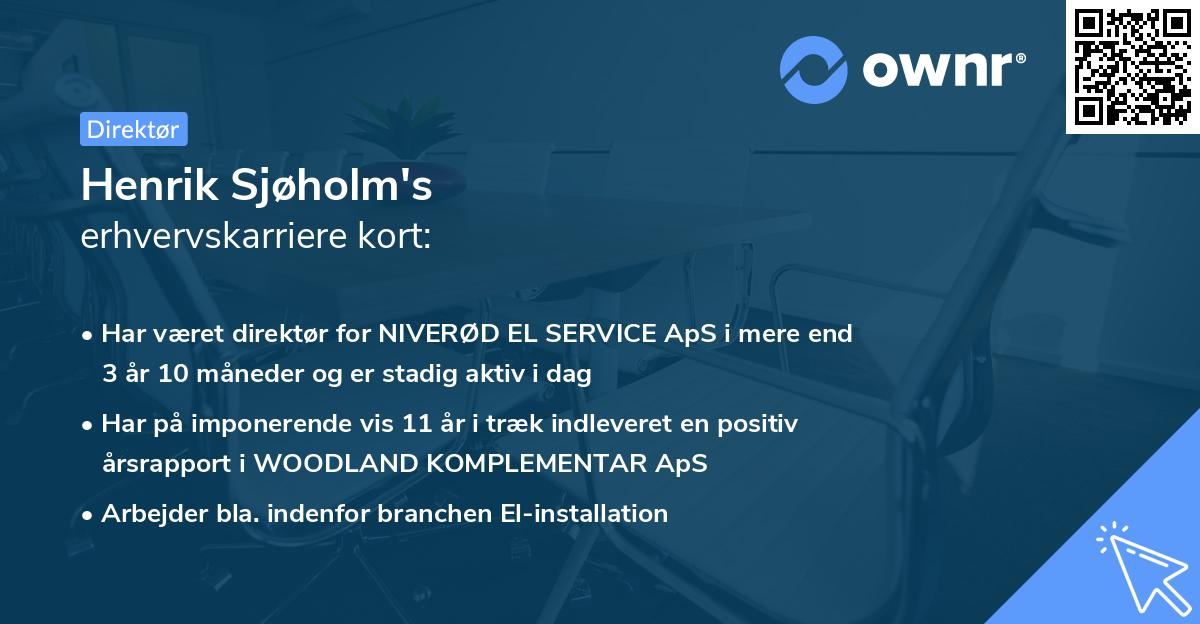 Henrik Sjøholm's erhvervskarriere kort