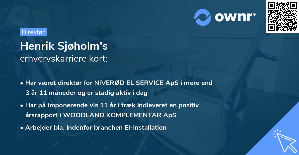 Henrik Sjøholm's erhvervskarriere kort