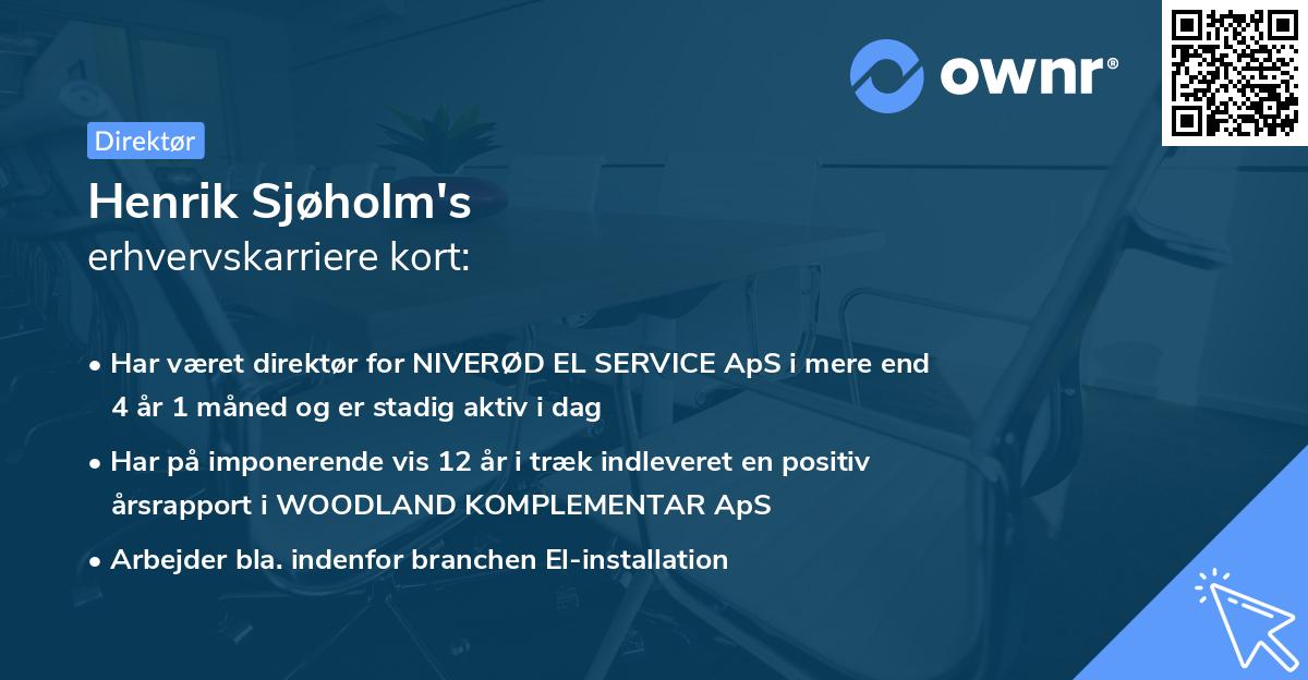 Henrik Sjøholm's erhvervskarriere kort