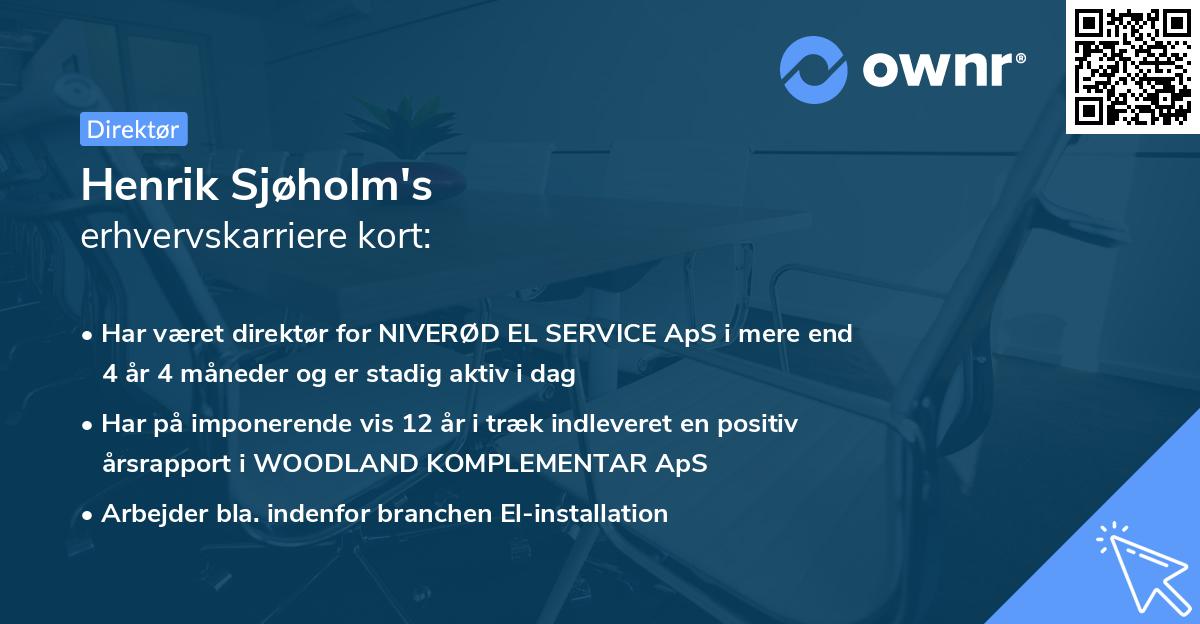 Henrik Sjøholm's erhvervskarriere kort