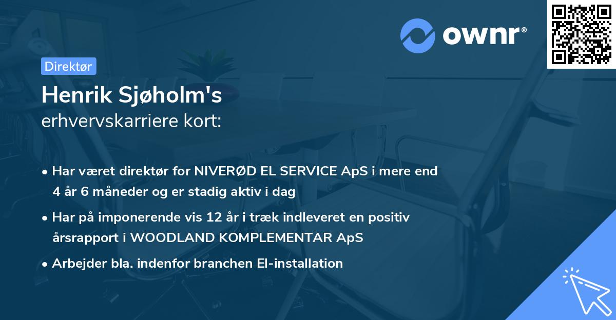 Henrik Sjøholm's erhvervskarriere kort