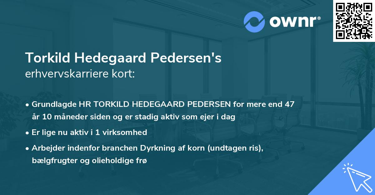 Torkild Hedegaard Pedersen's erhvervskarriere kort