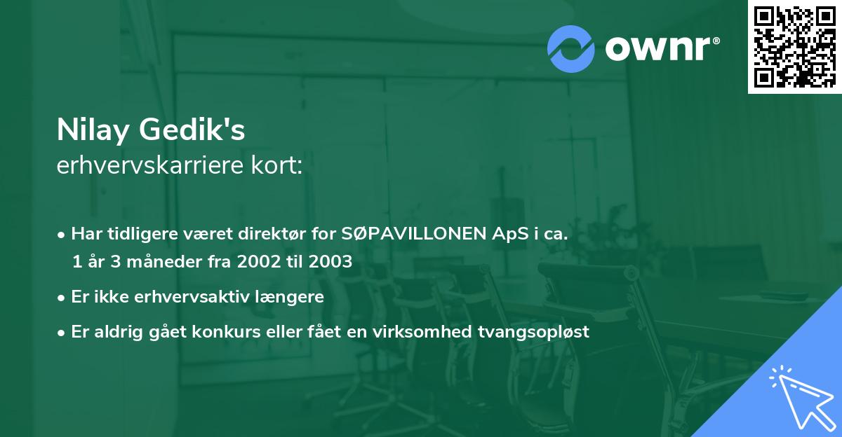 Nilay Gedik's erhvervskarriere kort