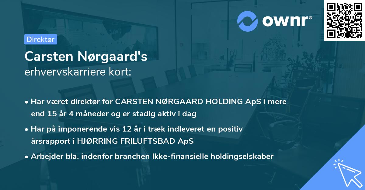 Carsten Nørgaard's erhvervskarriere kort