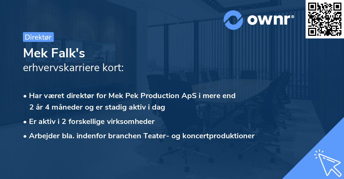 Mek Falk's erhvervskarriere kort