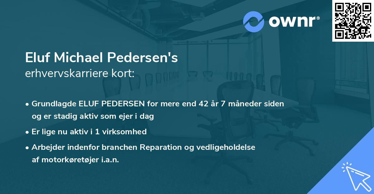 Eluf Michael Pedersen's erhvervskarriere kort