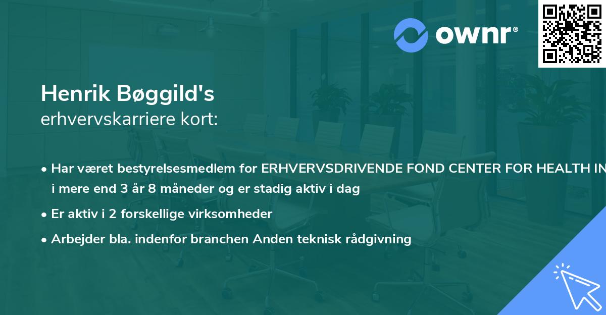 Henrik Bøggild's erhvervskarriere kort