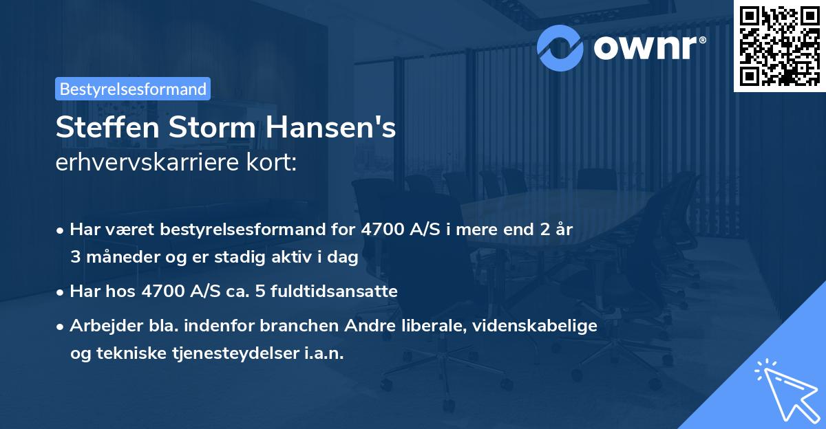 Steffen Storm Hansen's erhvervskarriere kort