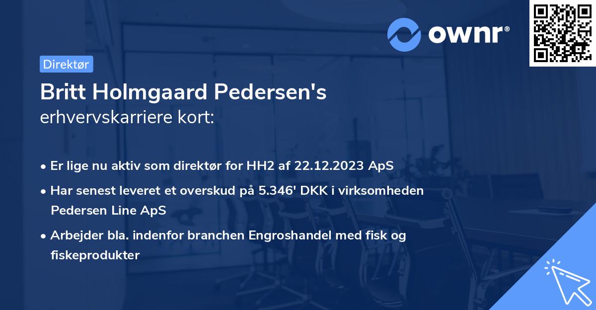 Britt Holmgaard Pedersen's erhvervskarriere kort