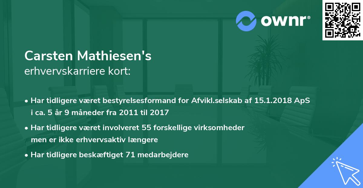 Carsten Mathiesen's erhvervskarriere kort